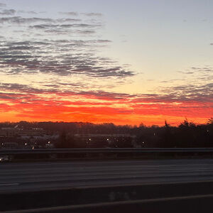 Meet your Posher, Meghan